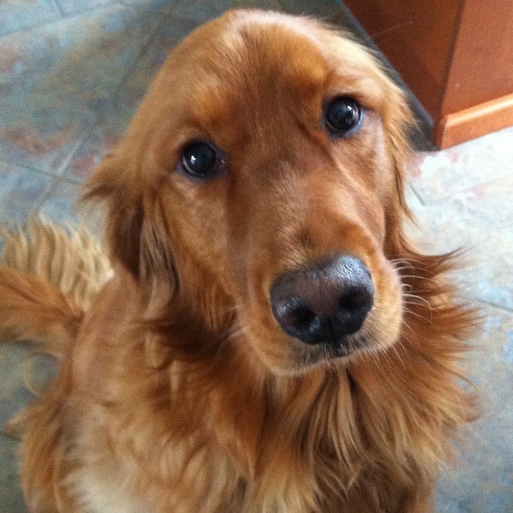 Meet your Posher, Jenny